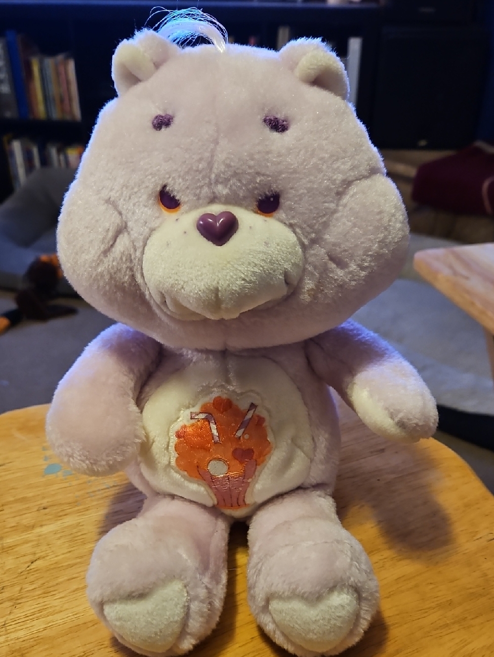 Care Bears Vintage 80's Share Bear 13 Inch